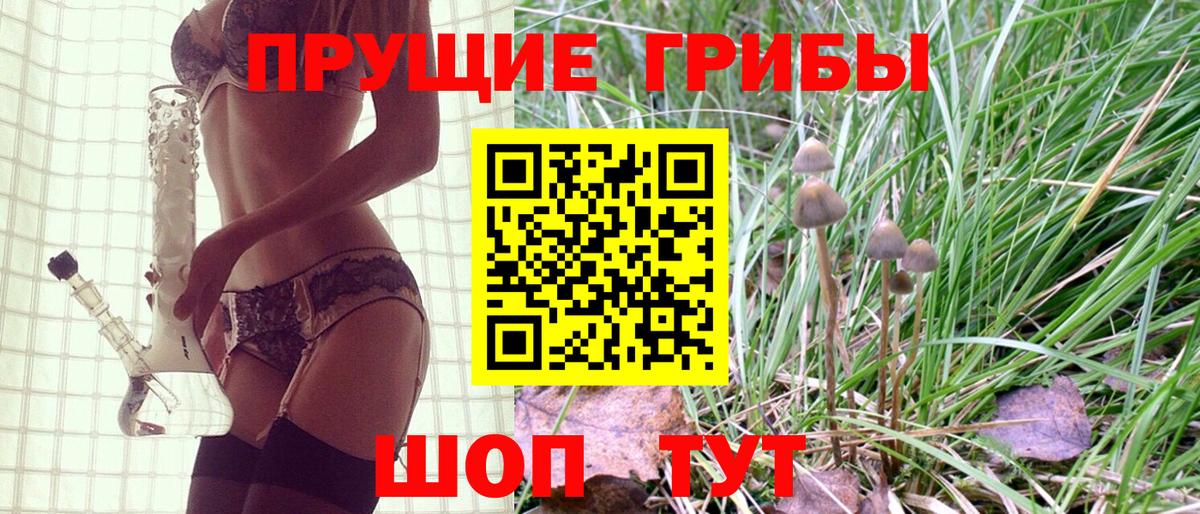 Псилоцибиновые грибы Cubensis  Псилоцибиновые грибы MAGIC MUSHROOMS  Курчатов  Вход с VPN 